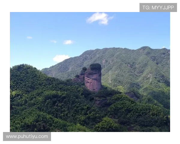 多米体育线上网址下载指南帮助玩家轻松获取最新版本软件